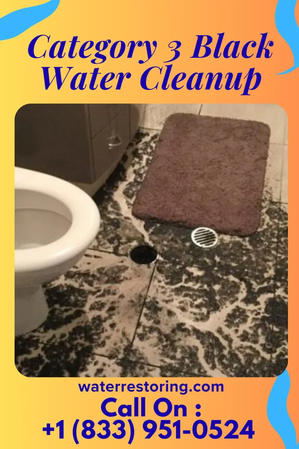 Category 3 Black Water Cleanup in Lawn, TX
