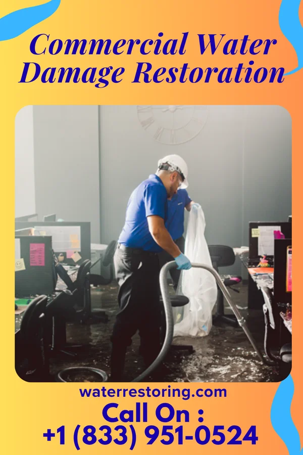 Commercial Water Damage Restoration in Lawn, TX